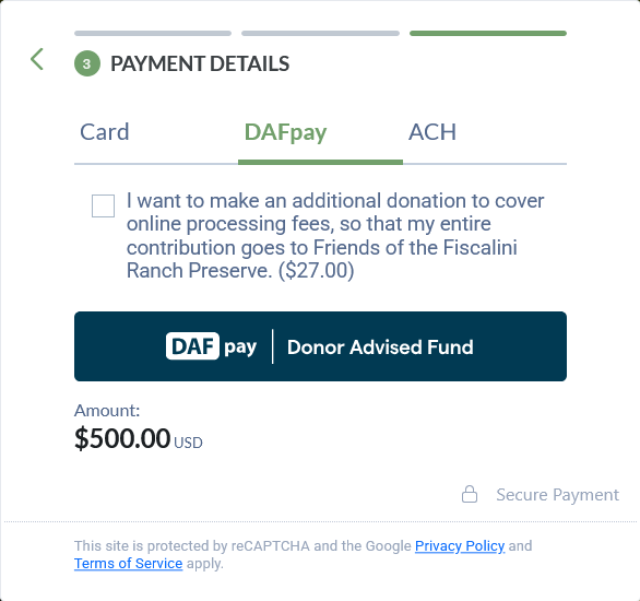 screenshot of payment step on online donation